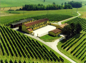  Wine Dreams Holiday Home  Понтестура